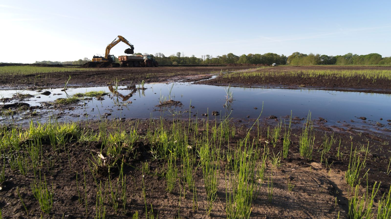 Excavator loading a dump truck beside a pond